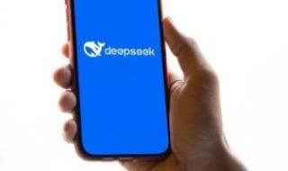 كم دولة وجهة رسمية حظرت تطبيق DeepSeek حول العالم؟