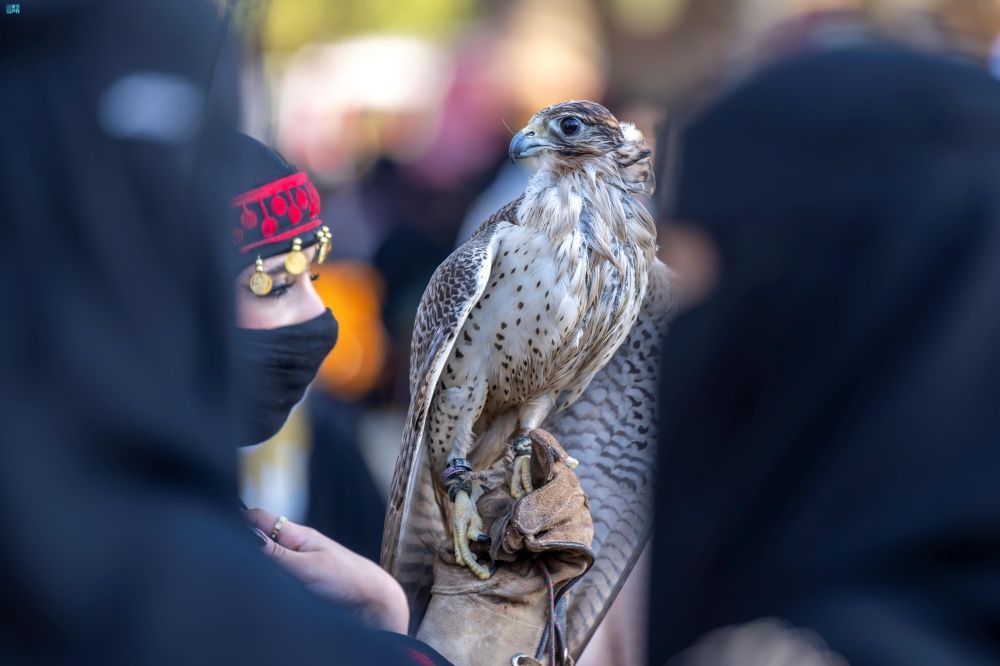 مهرجان الجوبة في الجوف - واس