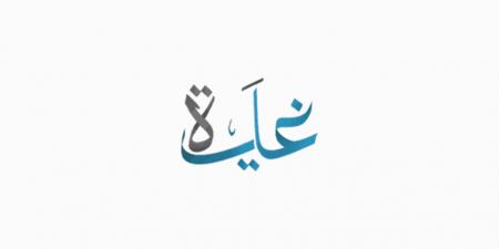 مصلحة الضرائب المصرية تدعو الممولين للتسجيل في منظومة الإيصال الإلكتروني - غاية التعليمية