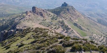 مناظر
      أسطورة
      مدينة
      فاس
      الجبلية
      زلاغ
      وثغات
      ..
      إعجاب
      وإجلال
      وانبهار - غاية التعليمية