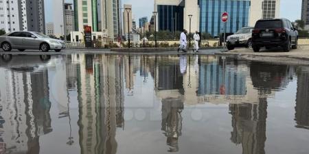 «أمطار الوسم».. تروي الأرض - غاية التعليمية