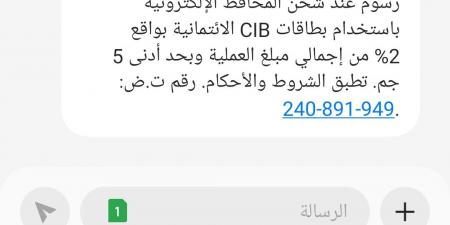 قرار
      جديد
      من
      "CIB"
      بخصوص
      شحن
      المحافظ
      الإلكترونية - غاية التعليمية