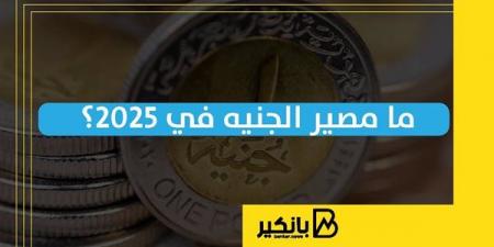 ما
      مصير
      الجنيه
      في
      2025؟ - غاية التعليمية