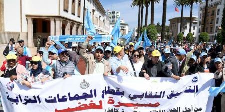 موظفون
      بالجماعات
      الترابية
      يرفعون
      "مظلة
      جديدة"
      في
      الدفاع
      عن
      المطالب - غاية التعليمية