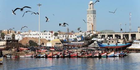 معهد
      يوصي
      بـ"حزام
      إفريقي
      أزرق" - غاية التعليمية