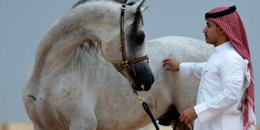 صور|
      رياضة
      ركوب
      الخيل
      هواية
      الشباب
      المتوارثة
      في
      رفحاء - غاية التعليمية