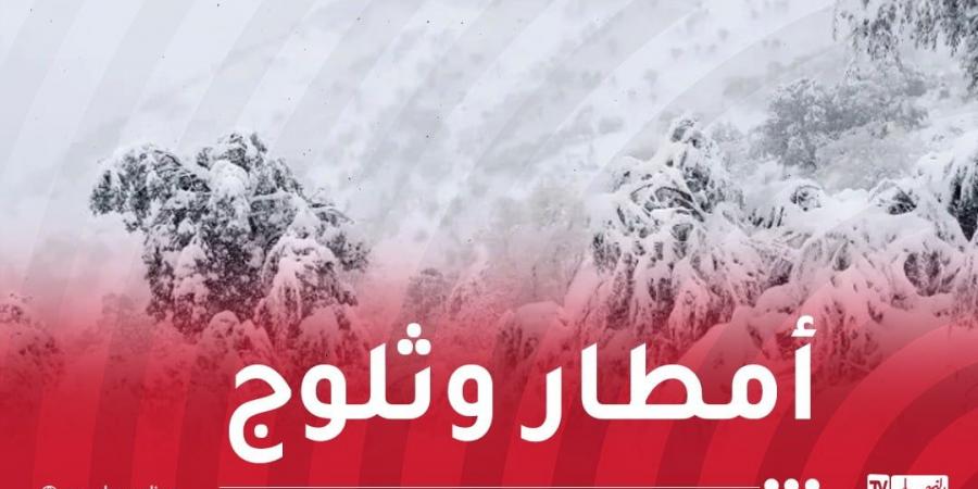 ثلوج..
      أمطار
      وبرودة
      شديدة
      بداية
      من
      الغد - غاية التعليمية