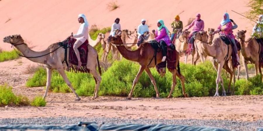 رحلة
      الهجن
      تقطع
      الصحراء
      الغربية
      في
      الطريق
      إلى
      وجهتها
      النهائية - غاية التعليمية