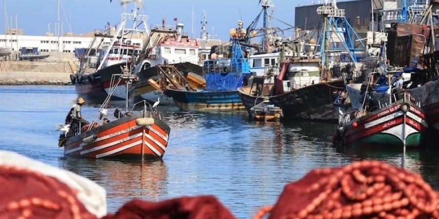 نقابة
      جديدة
      للصيد
      التقليدي
      بالمغرب
      تبحث
      حل
      مشاكل
      "الفئة
      الأضعف" - غاية التعليمية