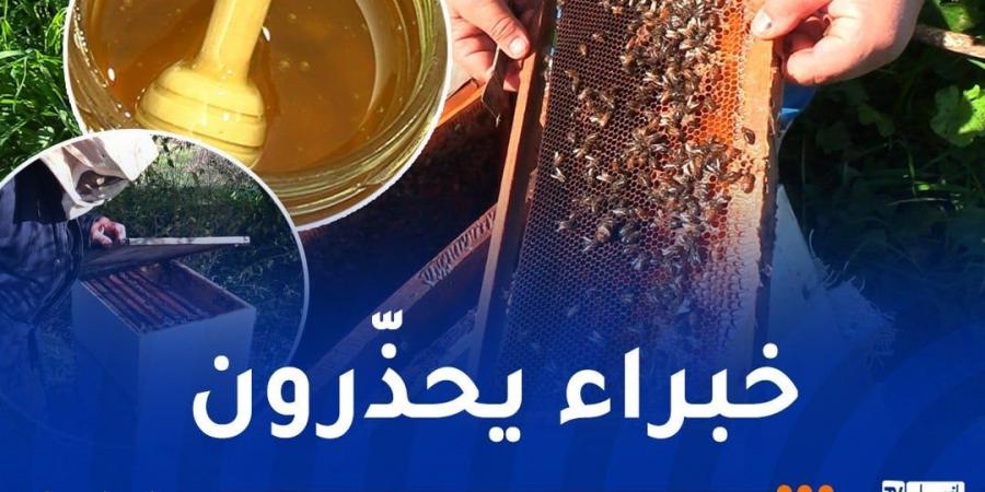 جودة
      العسل
      وتربية
      النحل
      مهدّدان
      في
      الجزائر..
      هذه
      هي
      الأسباب! - غاية التعليمية