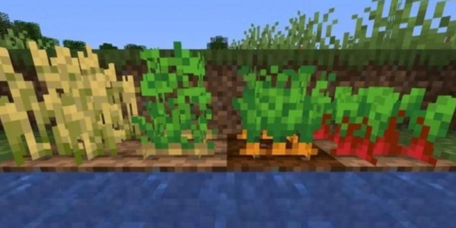 طرق
      لجعل
      البقاء
      في
      Minecraft
      أكثر
      تحديًا
      –
      الجزء
      الثالث - غاية التعليمية