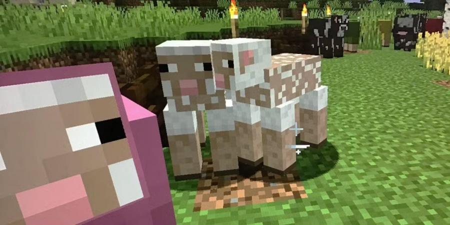 أشياء
      أساسية
      يجب
      على
      الجميع
      بناؤها
      أولاً
      في
      Minecraft
      –
      الجزء
      الخامس - غاية التعليمية