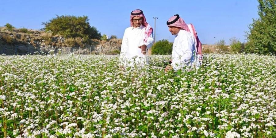 مزارع نموذجية لتدريب صغار المزارعين - غاية التعليمية