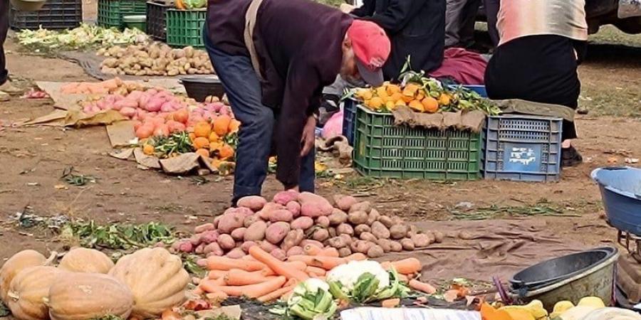 "تحايل
      جماعات"
      في
      كراء
      الأسواق
      الأسبوعية
      يصل
      إلى
      وزارة
      الداخلية - غاية التعليمية