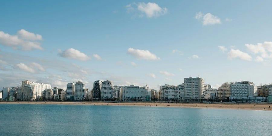 مشاريع
      بطنجة
      تنتظر
      رخصًا
      استثنائية - غاية التعليمية