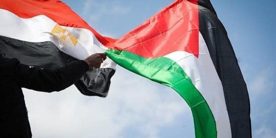 القضبة
      الفلسطينية:
      الدور
      المصرى
      هو
      الفاعل
      والمسؤول
      فى
      القصية
      الفلسطينية - غاية التعليمية