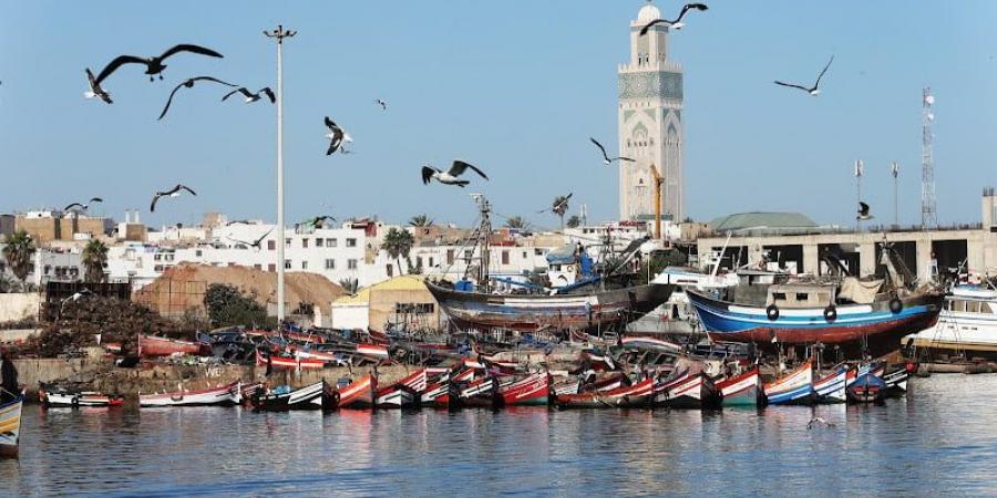 معهد
      يوصي
      بـ"حزام
      إفريقي
      أزرق" - غاية التعليمية