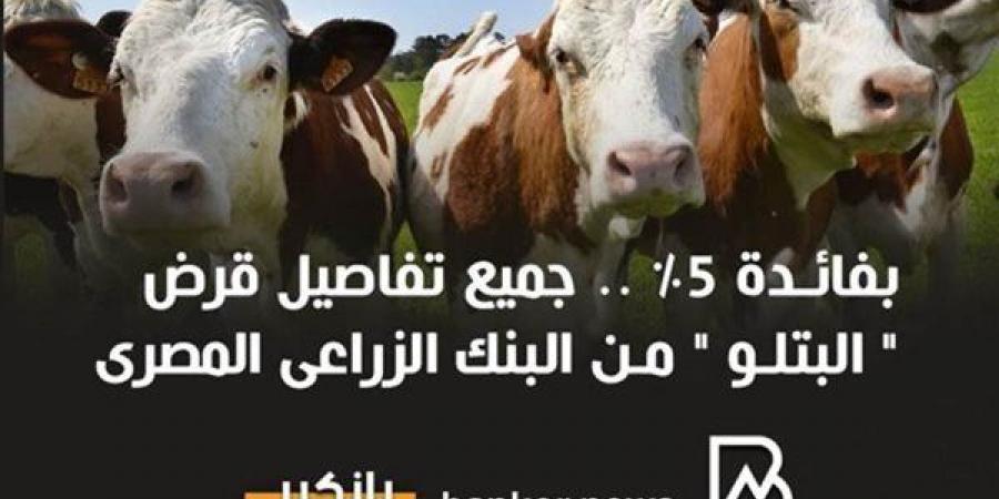 بفائدة
      5%..
      تعرف
      علي
      شروط
      الحصول
      على
      قرض
      البتلو
      من
      البنك
      الزراعي - غاية التعليمية