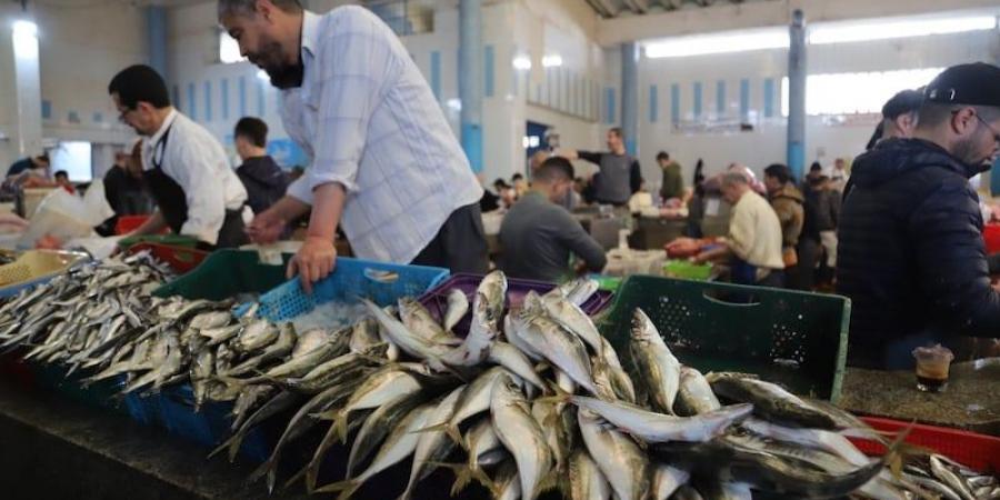 سعر
      السردين
      يتململ
      في
      مدينة
      طنجة
      ..
      والتجار:
      البيع
      بـ5
      دراهم
      مستحيل - غاية التعليمية