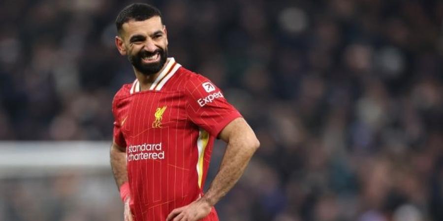 فرديناند: محمد صلاح ليس أفضل لاعب في تاريخ الدوري الإنجليزي - غاية التعليمية