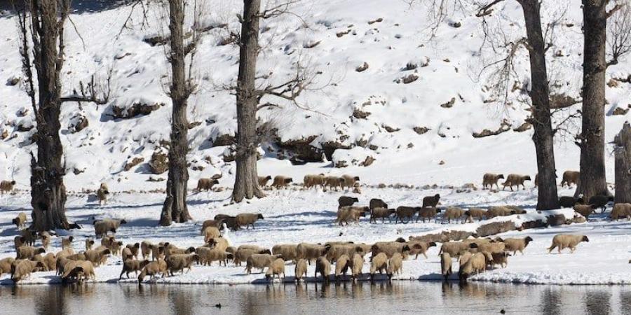 تساقطات
      ثلجية
      متوقعة
      بالمغرب - غاية التعليمية