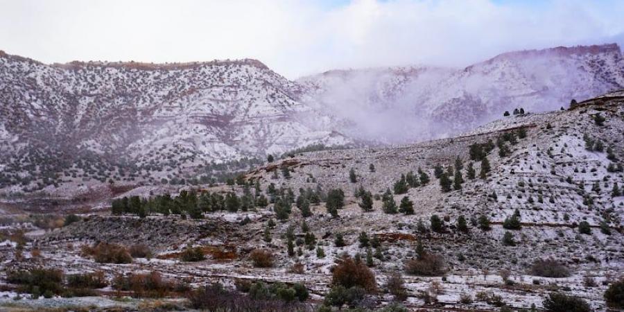 توقعات
      طقس
      اليوم
      الجمعة
      بالمغرب - غاية التعليمية