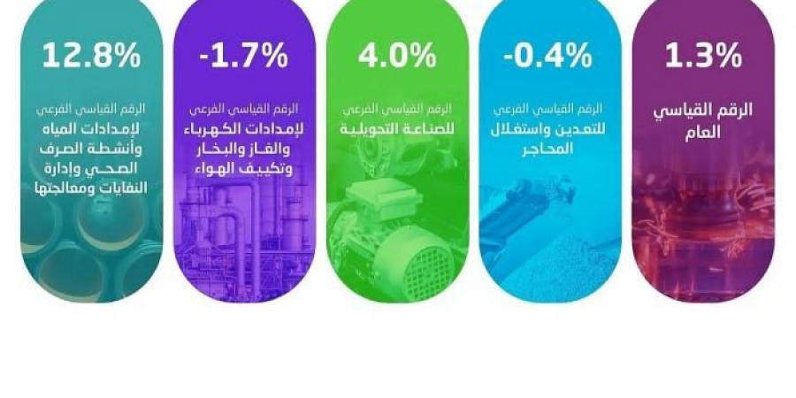 هيئة
      الإحصاء:
      ارتفاع
      الرقم
      القياسي
      للإنتاج
      الصناعي
      بنسبة
      1.3
      %
      خلال
      شهر
      يناير
      2025 - غاية التعليمية