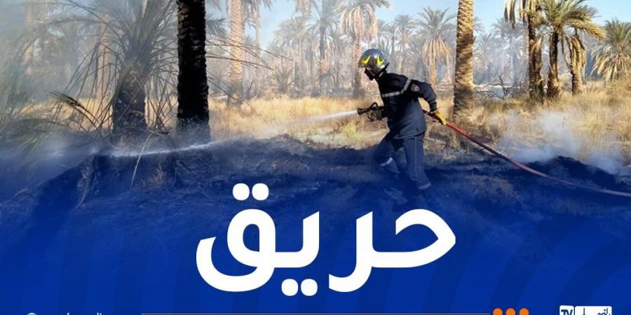 حريق
      يتسبب
      في
      تلف
      270
      نخلة
      في
      المغير - غاية التعليمية