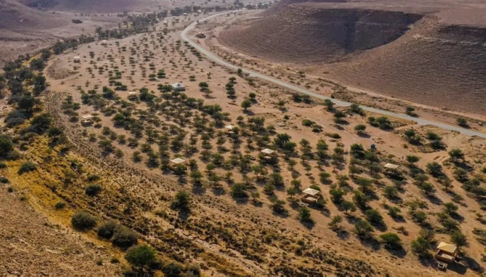 40 مليون هكتار.. طرق تحويل الأراضي الجافة إلى واحات خضراء في السعودية بحلول 2025