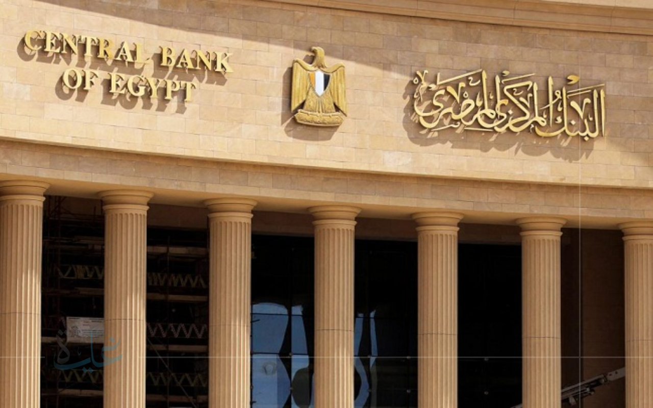 البنك المركزي المصري يفرض ضوابط جديدة للاستيراد.. تعزيز الصناعة المحلية وحماية الموارد لعام 2025