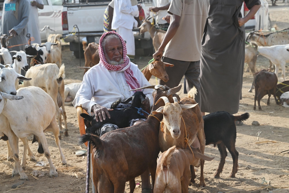 تفاصيل تراخيص إلكترونية حديثة لصغار مربي الماشية والدواجن عام 2025