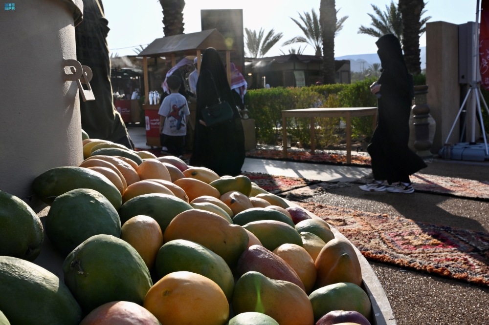 ثمار الصيف تزدهر في العُلا.. أجواء تنبض بعبق التراث الزراعي لعام 2025