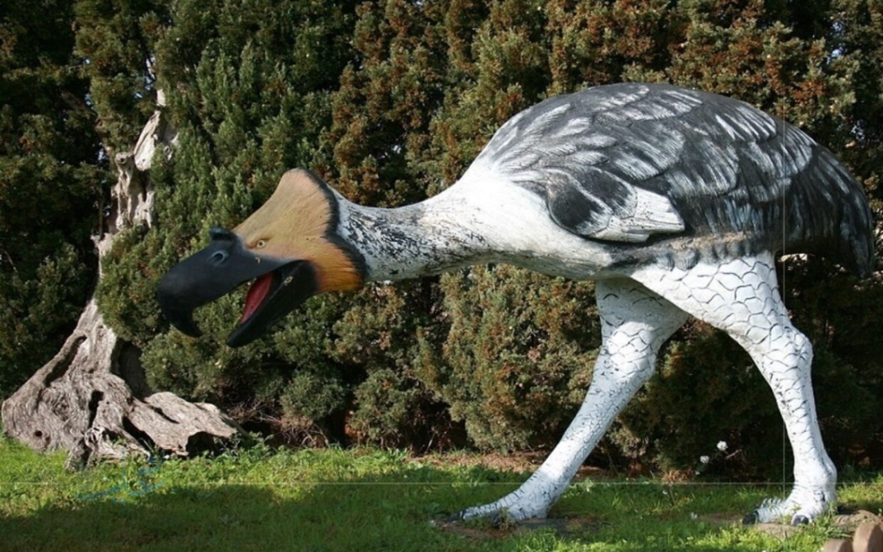 رعب أكثر شراسة.. الطيور العملاقة الإرهابية تهيمن على أمريكا الجنوبية 2025