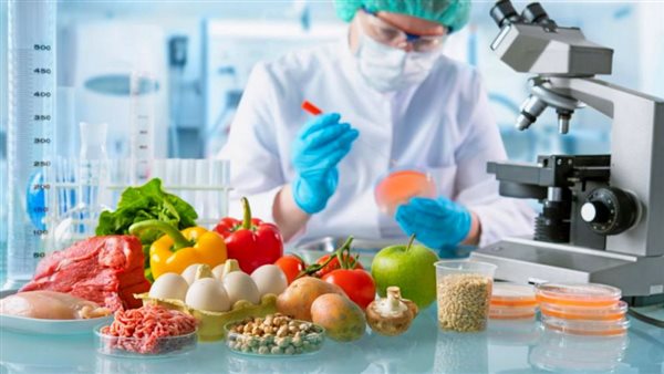 قوائم الصادرات الزراعية 2025.. 200 ألف طن و942 إذن نقل خلال أسبوع تتقدمها البطاطس والفراولة