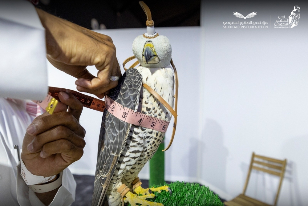 منصة مزاد الصقور.. ريادة ثقافية واقتصادية تؤكدها الصفقات القياسية في 2025