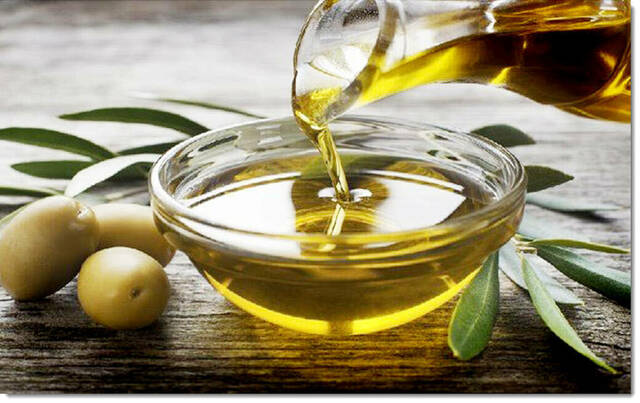 عودة الانتعاش لأضخم منتج زيت زيتون في العالم بإسبانيا بعد أزمة 2025