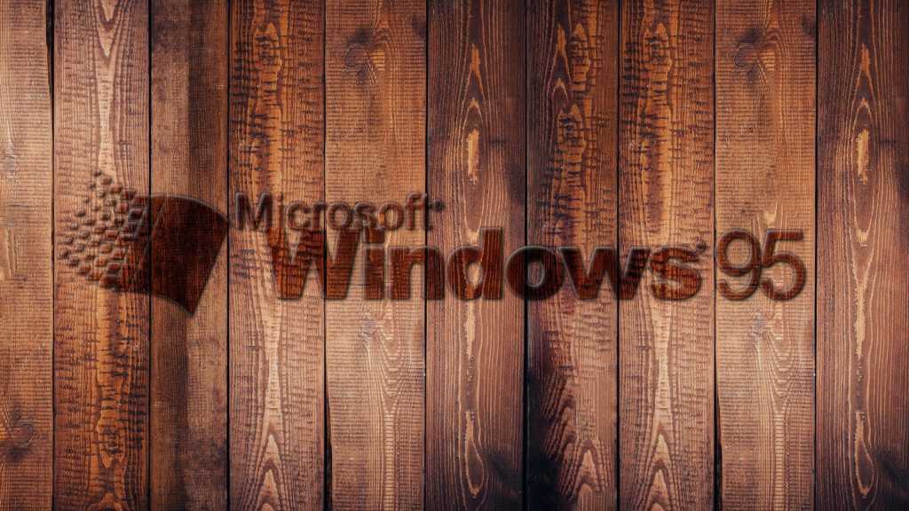 Windows 95 يحتفل بمرور 30 عامًا وما زال يدير عملية فرز البيض في المزارع حتى 2025