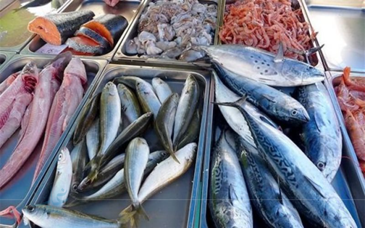 فرصة لعشاق المأكولات البحرية.. أحدث أسعار الأسماك في مصر اليوم 30 أغسطس 2025
