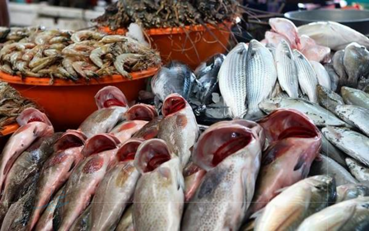 البلطي وصل كام.. أحدث أسعار السمك في الأسواق المحلية ليوم الثلاثاء 19-8-2025