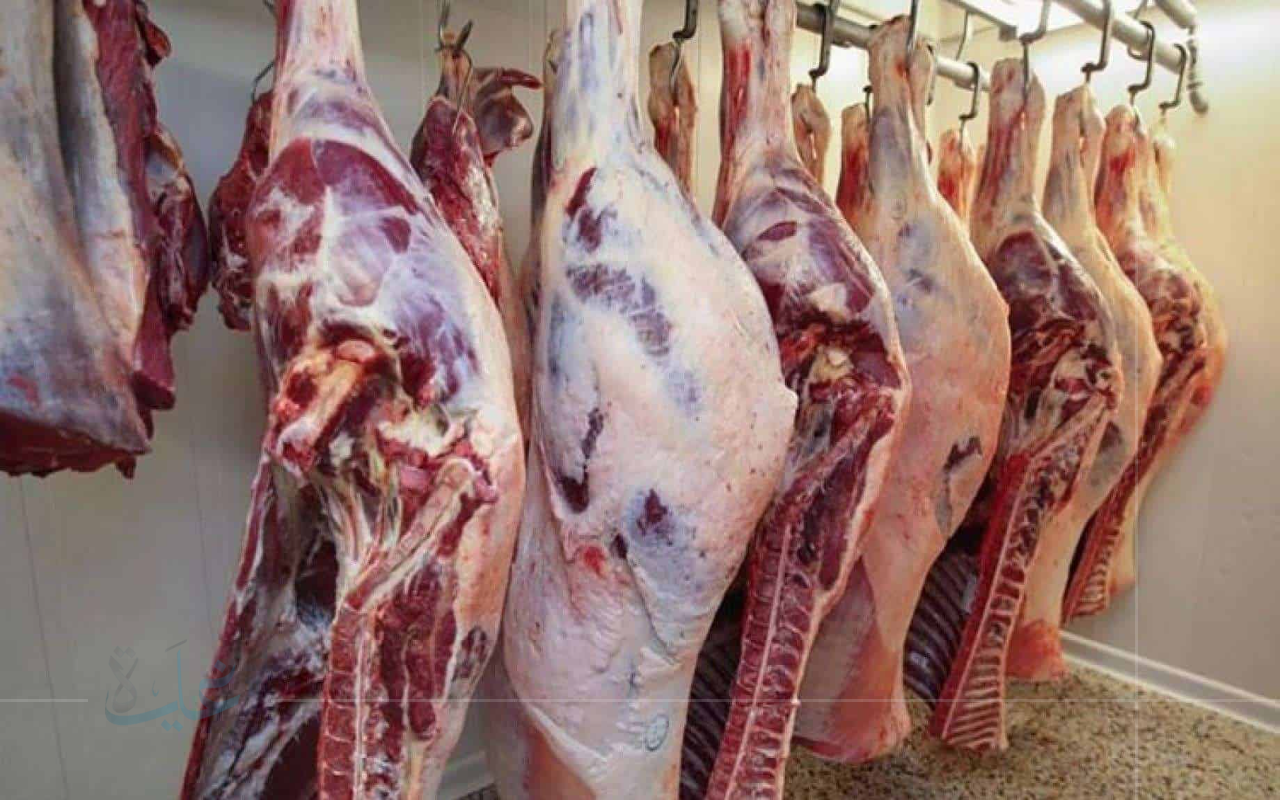 الريش تسجل 425 جنيها.. أسعار اللحوم البلدي في الأسواق اليوم السبت 30-8-2025