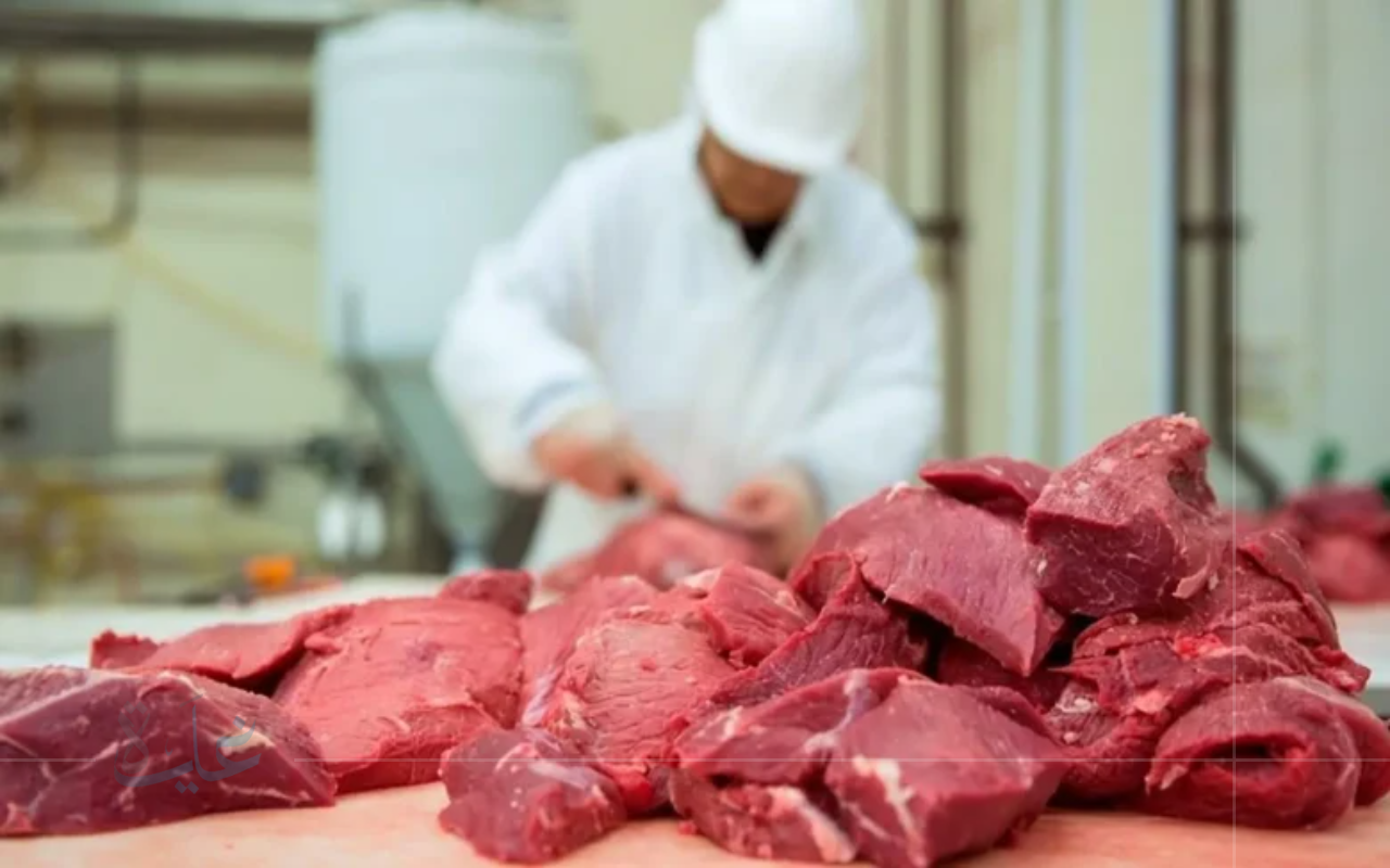 أسعار الكندوز والبتلو اليوم.. تحديث أسعار اللحوم في الأسواق ليوم الخميس 28 أغسطس 2025