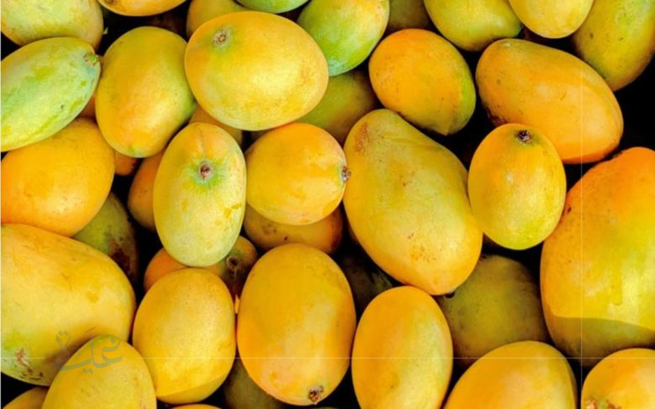 تعرّف على أسعار جميع أصناف المانجو اليوم الجمعة 22 أغسطس 2025