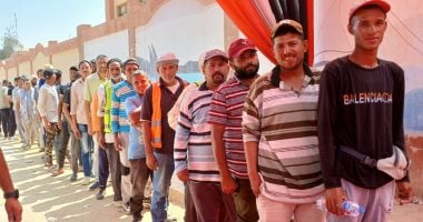 إقبال كثيف من الشباب والعمال على لجان انتخابات مجلس الشيوخ بأكتوبر 2025