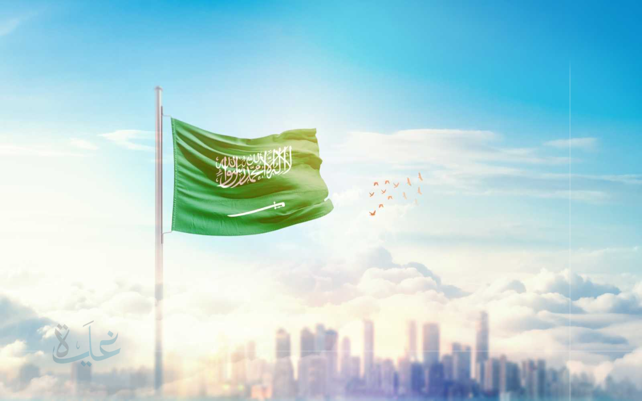 احتفالات اليوم الوطني السعودي 95 في 2025.. عروض الألعاب النارية والحفلات الغنائية تبهر الجمهور بأروع المفاجآت