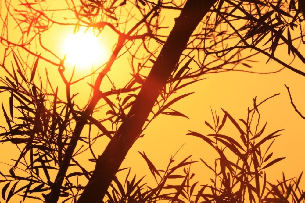 ارتفاع درجات الحرارة ورياح قوية تضرب الشرقية.. و48 مئوية تسجل في 2025