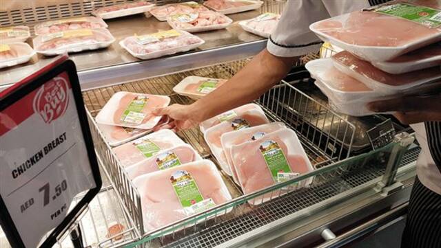 استئناف واردات الدواجن البرازيلية إلى السعودية وتشيلي في عام 2025