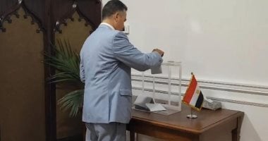 انتخابات مجلس الشيوخ 2025.. حضور بارز وإجراءات أمنية مشددة بلجان المصريين في الخارج