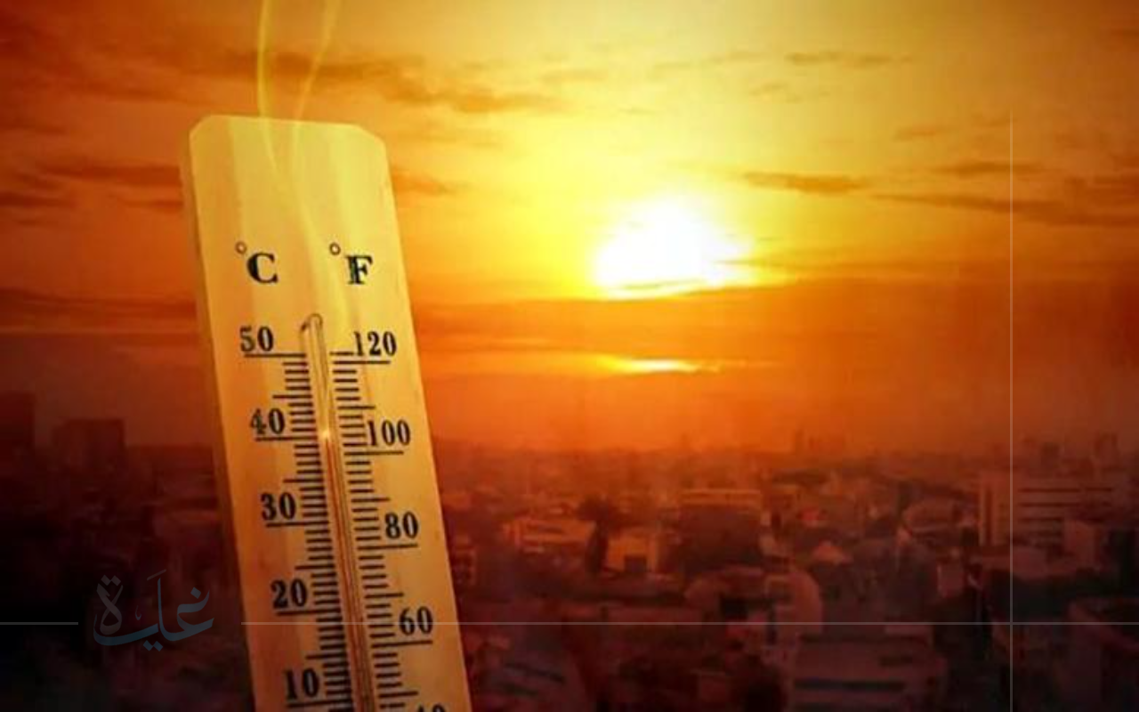 الأحساء تحتل المركز السابع عالميا بين أكثر المدن ارتفاعا في درجات الحرارة لعام 2025