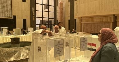 الاتحاد العالمي للمواطن المصري بالخارج.. مشاركة المصريين في انتخابات الشيوخ 2025 تجري بانسيابية