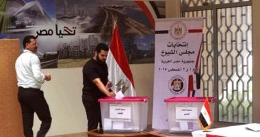 انطلاق تصويت المصريين في فرنسا لليوم الثاني من انتخابات مجلس الشيوخ 2025